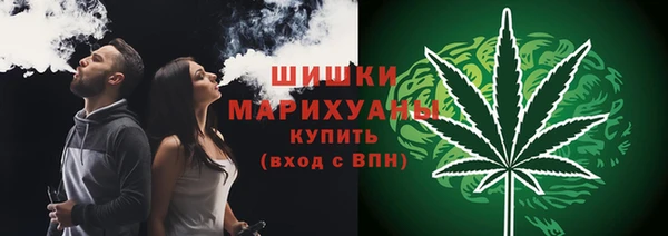 молекула духа Пестово