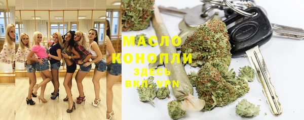 молекула духа Пестово