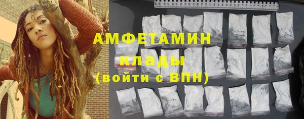 молекула духа Пестово