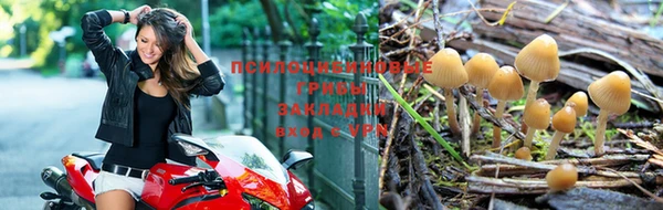 альфа пвп Иноземцево