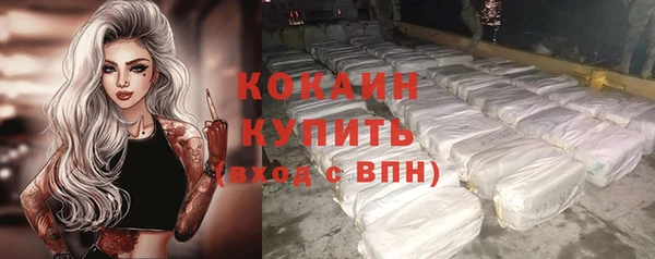 молекула духа Пестово